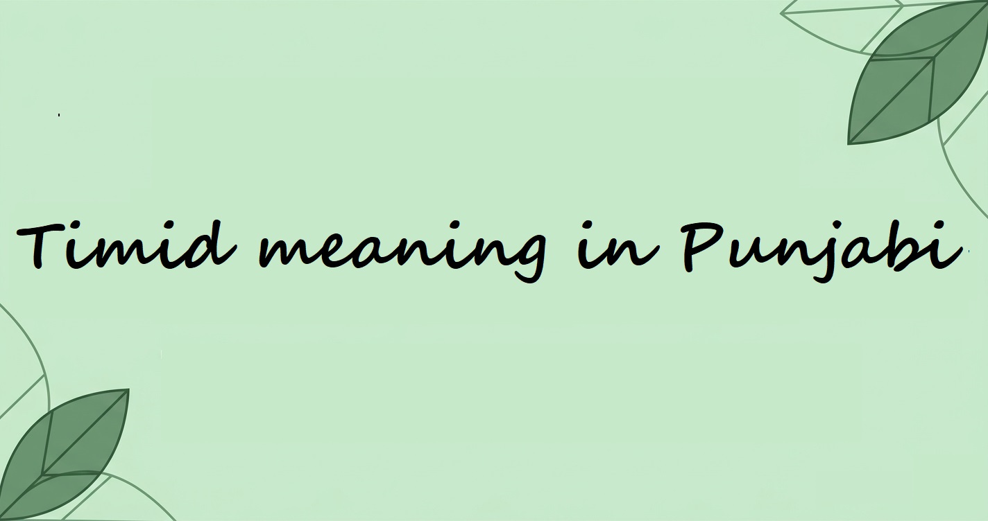 Timid Meaning: Understanding Professional Timid Meaning in Punjabi