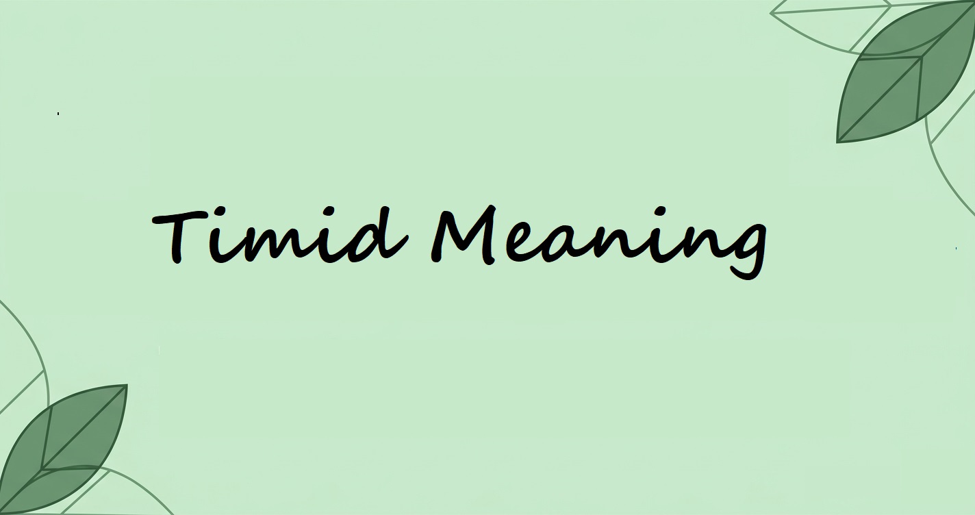 Timid Meaning: Decoding Confidence in the Modern Workplace